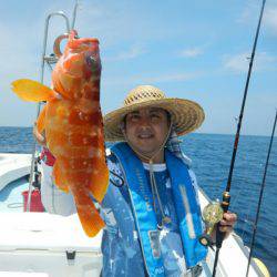 きずなまりん 釣果