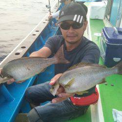 丸万釣船 釣果