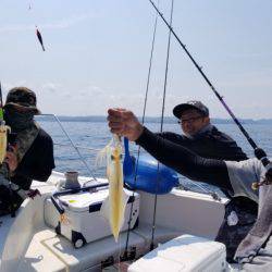 ソルトウォーターガイドフレンズ 釣果