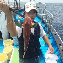 丸万釣船 釣果