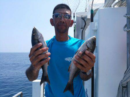ありもと丸 釣果