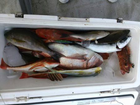 ありもと丸 釣果