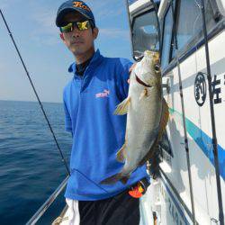 きずなまりん 釣果