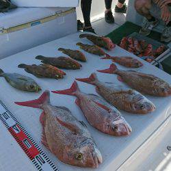 遊漁船　家入 釣果