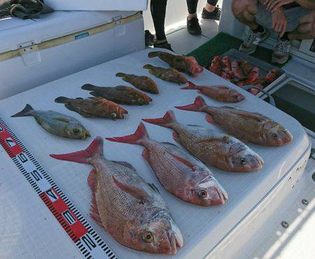 遊漁船　家入 釣果