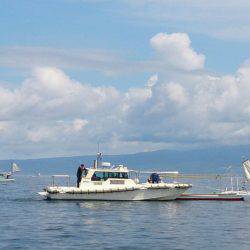 遊漁船 家入 釣果