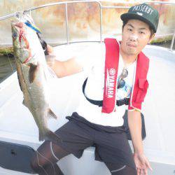 Chase（チェイス） 釣果