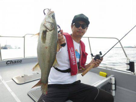 Chase（チェイス） 釣果