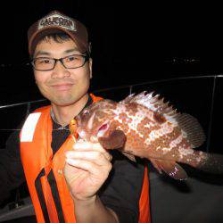 Chase（チェイス） 釣果