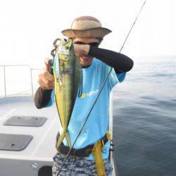 Chase（チェイス） 釣果