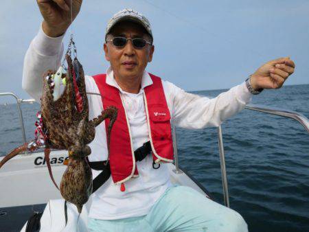 Chase（チェイス） 釣果