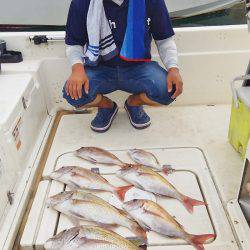 マリンガイド福丸 釣果