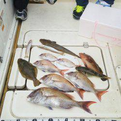 マリンガイド福丸 釣果