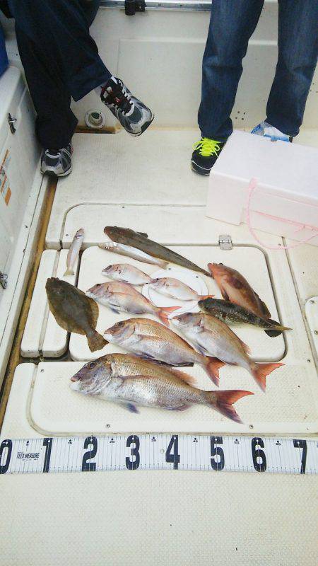 マリンガイド福丸 釣果