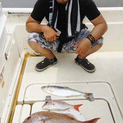 マリンガイド福丸 釣果