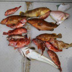 海季丸(みきまる) 釣果