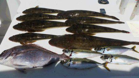 JDI Racing シールズマリンレジャー 釣果