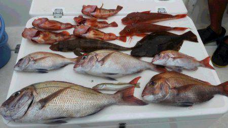 ＪＤＩ　Ｒａｃｉｎｇ　シールズマリンレジャ…