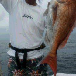 JDI Racing シールズマリンレジャー 釣果