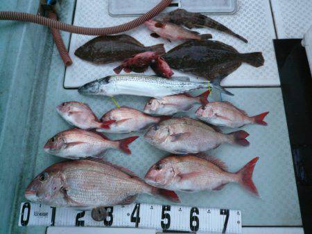 オーシャンスター(Ocean Star) …