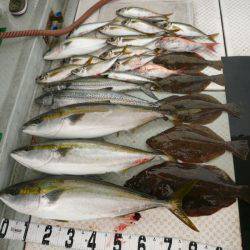 オーシャンスター(Ocean Star) 釣果