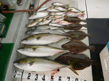 オーシャンスター(Ocean Star) …