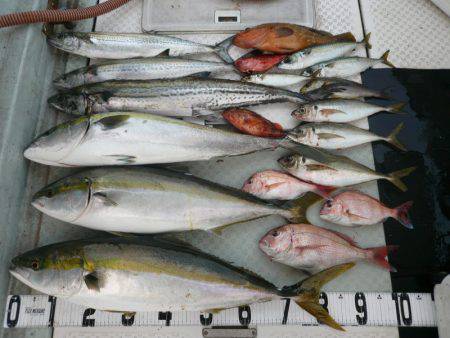 オーシャンスター(Ocean Star) …