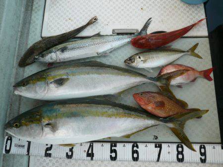 オーシャンスター(Ocean Star) …