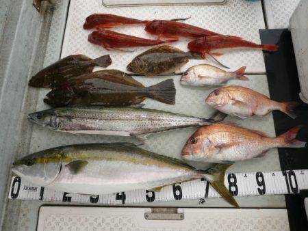 オーシャンスター(Ocean Star) …