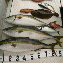 オーシャンスター(Ocean Star) 釣果