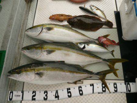 オーシャンスター(Ocean Star) …