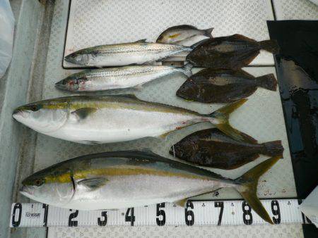 オーシャンスター(Ocean Star) …