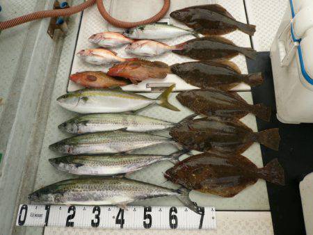 オーシャンスター(Ocean Star) …