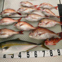 オーシャンスター(Ocean Star) 釣果