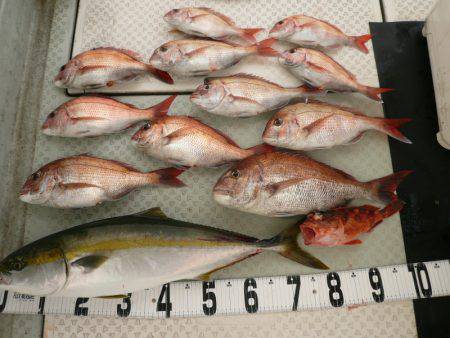 オーシャンスター(Ocean Star) …