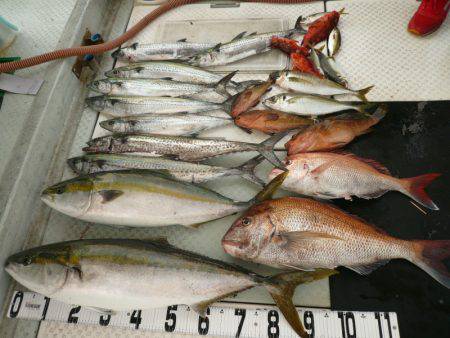 オーシャンスター(Ocean Star) …