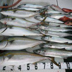 オーシャンスター(Ocean Star) 釣果