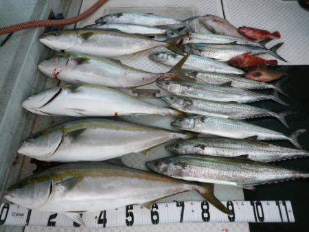 オーシャンスター(Ocean Star) …