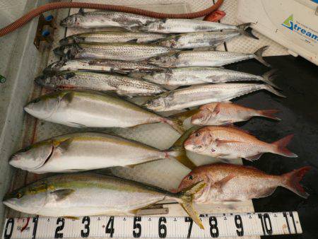 オーシャンスター(Ocean Star) …