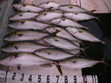 オーシャンスター(Ocean Star) …