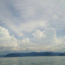 マリンガイド福丸 釣果