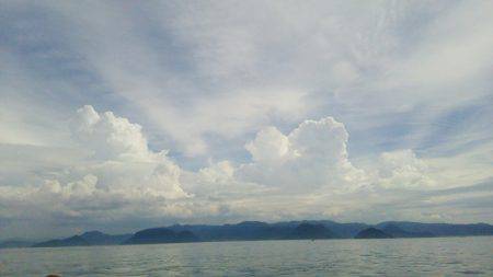 マリンガイド福丸 釣果