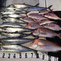 オーシャンスター(Ocean Star) 釣果