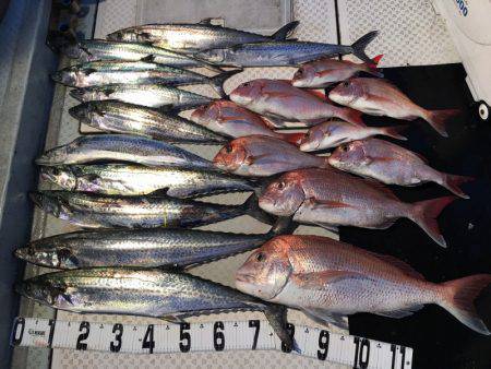 オーシャンスター(Ocean Star) …