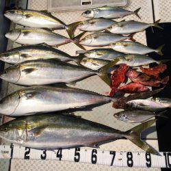 オーシャンスター(Ocean Star) 釣果