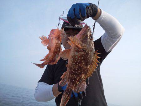 ひな丸 釣果