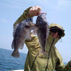 ひな丸 釣果