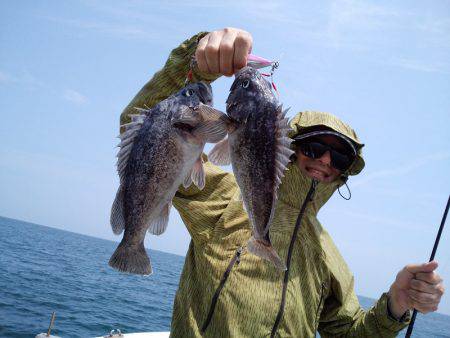 ひな丸 釣果