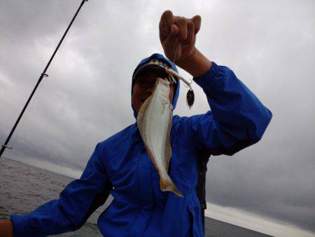 ひな丸 釣果