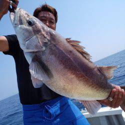ひな丸 釣果